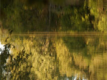 River Run
